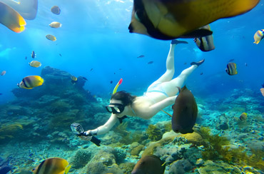 Wall Snorkeling Point